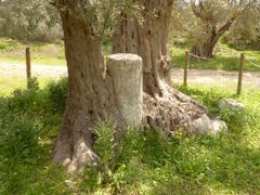 faistos matala gortys