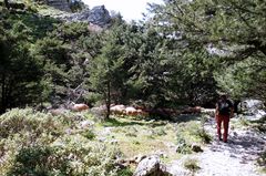 imbros gorge
