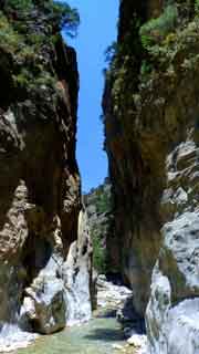 7-its-getting-narrow-thumb